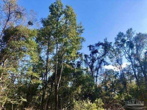 lot S 19 20 Bs Buffalo Ridge Rd, Pace, FL 32571 photo 19