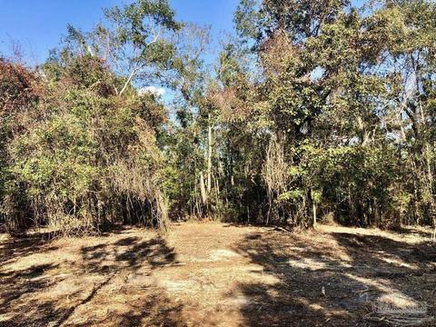 lot S 19 20 Bs Buffalo Ridge Rd, Pace, FL 32571 photo 12
