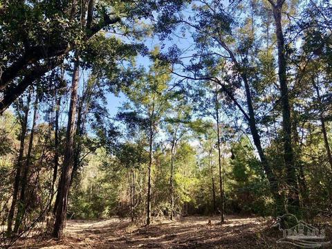 lot S 19 20 Bs Buffalo Ridge Rd, Pace, FL 32571 photo 14