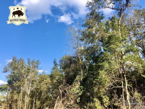 lot S 19 20 Bs Buffalo Ridge Rd, Pace, FL 32571 photo 2