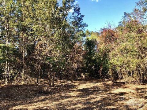 lot S 19 20 Bs Buffalo Ridge Rd, Pace, FL 32571 photo 11