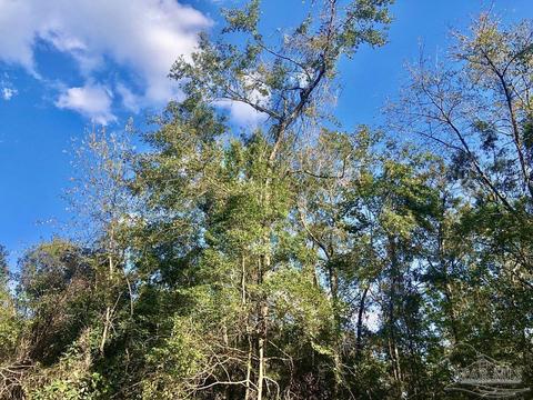 lot S 19 20 Bs Buffalo Ridge Rd, Pace, FL 32571 photo 20