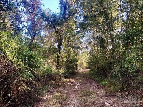 lot S 19 20 Bs Buffalo Ridge Rd, Pace, FL 32571 photo 8