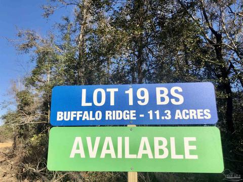 lot S 19 20 Bs Buffalo Ridge Rd, Pace, FL 32571 photo 3