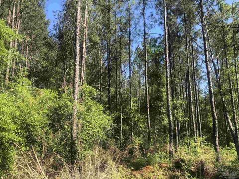 lot68 Br Montana Dr, Pace, FL 32571 photo 8