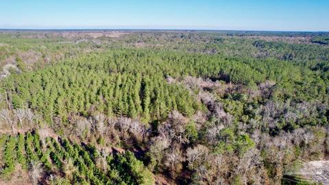 lot68 Br Montana Dr, Pace, FL 32571 photo 4