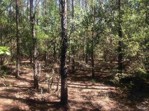 lot68 Br Montana Dr, Pace, FL 32571 photo 10