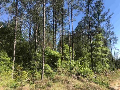 lot68 Br Montana Dr, Pace, FL 32571 photo 9
