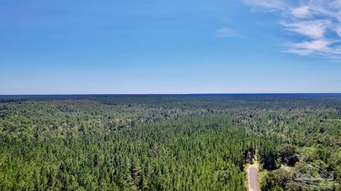 lot68 Br Montana Dr, Pace, FL 32571 photo 7