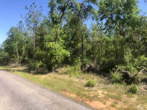 lot68 Br Montana Dr, Pace, FL 32571 photo 13