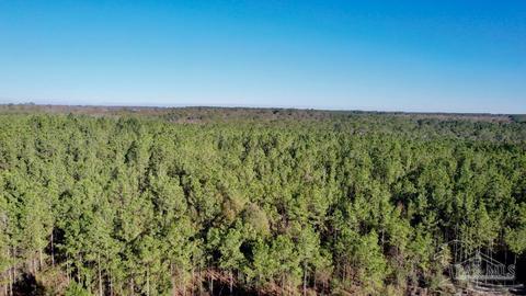 lot68 Br Montana Dr, Pace, FL 32571 photo 6