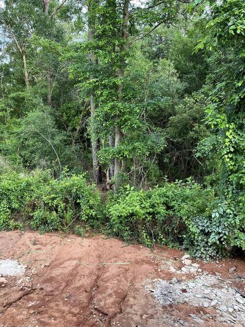 4991 Timber Ridge Dr, Pace, FL 32571 photo 24