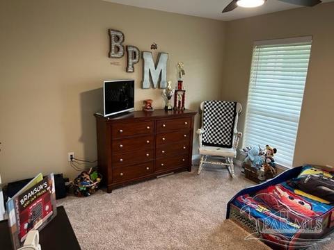 3699 Willard Norris Rd, Pace, FL 32571 photo 24