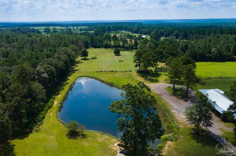 801 W Bogia Rd, Mcdavid, FL 32568 photo 44