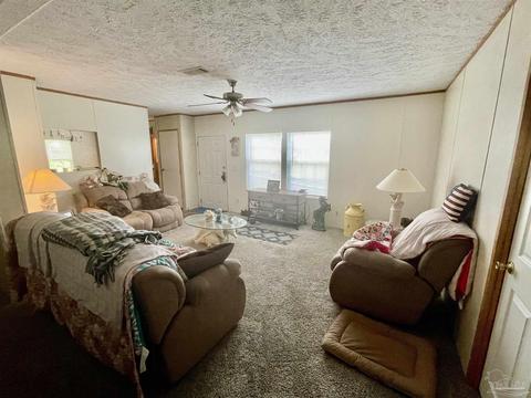 8731 Byrom Campbell Rd, Pace, FL 32571 photo 7