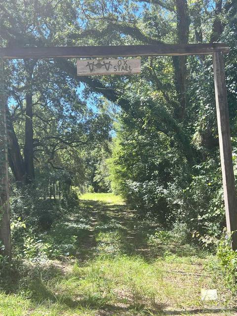 Hamilton Bridge Rd, Milton, FL 32570 photo 17