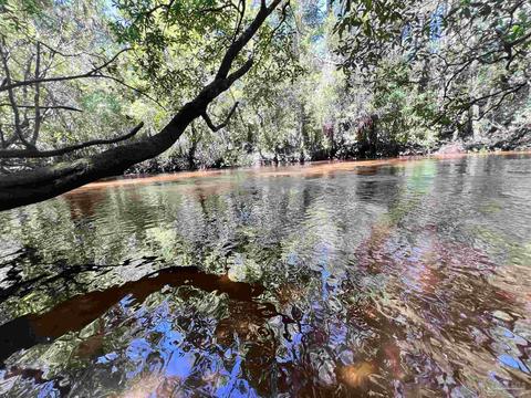Hamilton Bridge Rd, Milton, FL 32570 photo 9