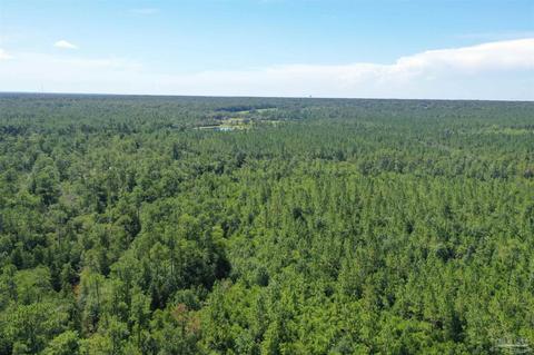 Hamilton Bridge Rd, Milton, FL 32570 photo 24