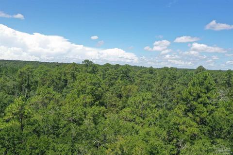 Hamilton Bridge Rd, Milton, FL 32570 photo 27