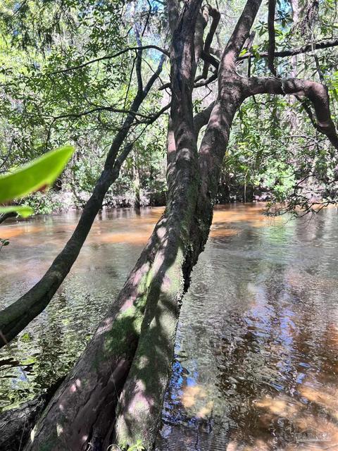 Hamilton Bridge Rd, Milton, FL 32570 photo 6