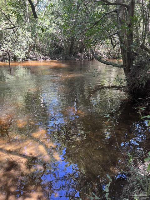 Hamilton Bridge Rd, Milton, FL 32570 photo 3