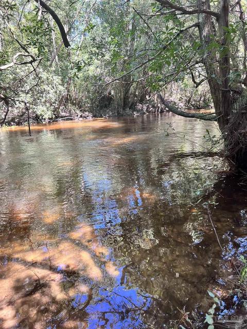 Hamilton Bridge Rd, Milton, FL 32570 photo 4