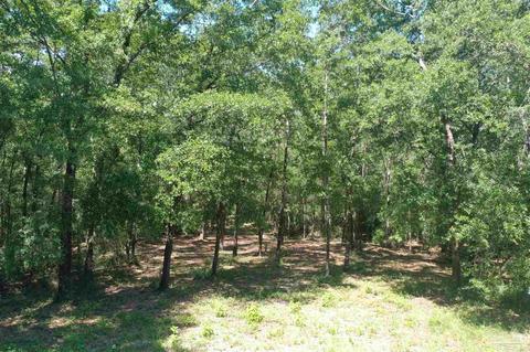 Hamilton Bridge Rd, Milton, FL 32570 photo 32