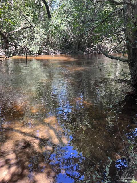 Hamilton Bridge Rd, Milton, FL 32570 photo 2