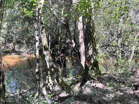 Hamilton Bridge Rd, Milton, FL 32570 photo 10