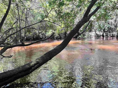Hamilton Bridge Rd, Milton, FL 32570 photo 7