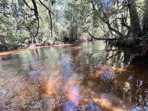 Hamilton Bridge Rd, Milton, FL 32570 photo 8