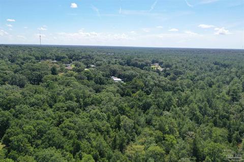 Hamilton Bridge Rd, Milton, FL 32570 photo 20