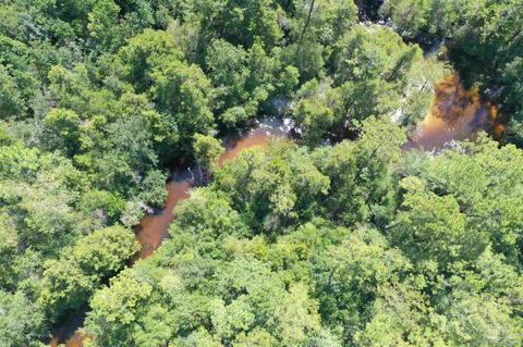 Hamilton Bridge Rd, Milton, FL 32570 photo 28