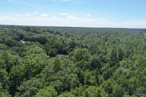 Hamilton Bridge Rd, Milton, FL 32570 photo 29