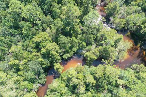 Hamilton Bridge Rd, Milton, FL 32570 photo 21