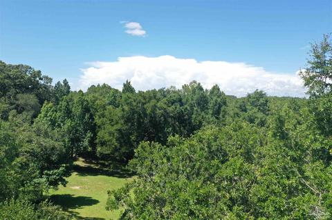Hamilton Bridge Rd, Milton, FL 32570 photo 19