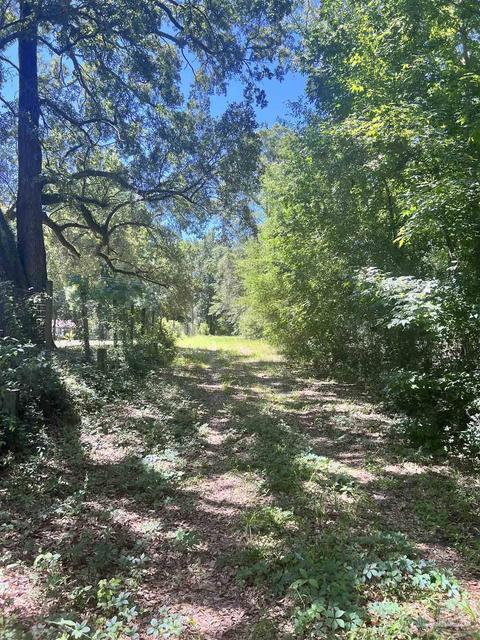 Hamilton Bridge Rd, Milton, FL 32570 photo 15
