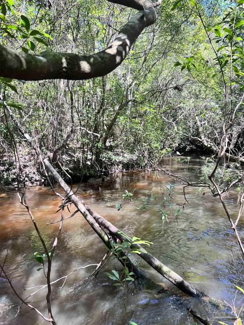 Hamilton Bridge Rd, Milton, FL 32570 photo 12