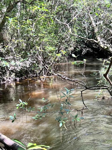 Hamilton Bridge Rd, Milton, FL 32570 photo 13