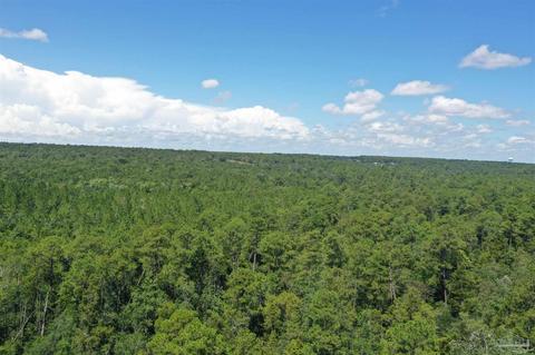Hamilton Bridge Rd, Milton, FL 32570 photo 38