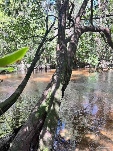 Hamilton Bridge Rd, Milton, FL 32570 photo 5