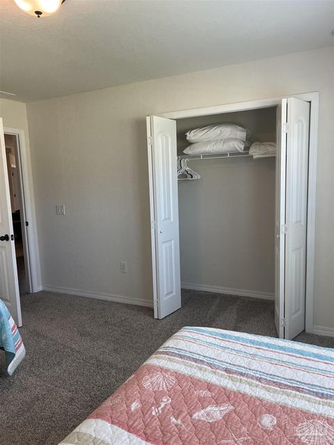 4395 Thistle Pine Ct, Pace, FL 32571 photo 26