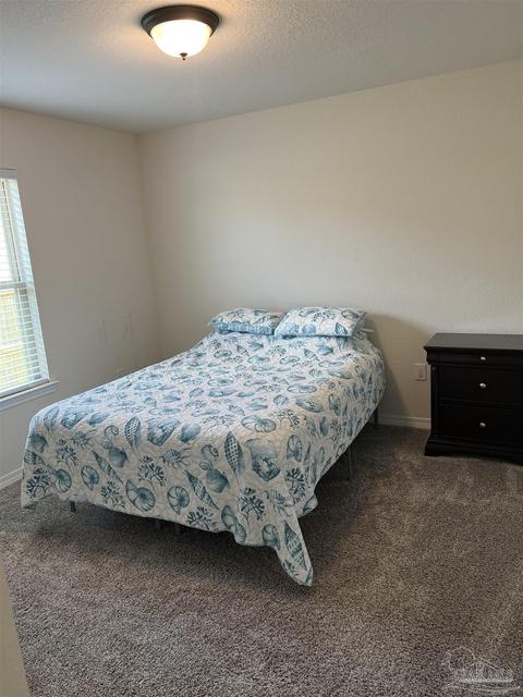 4395 Thistle Pine Ct, Pace, FL 32571 photo 22