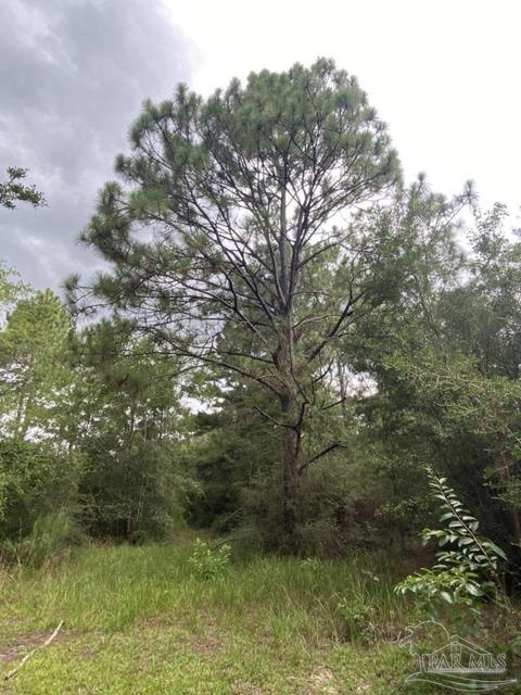 1877 Parker Rd, Cantonment, FL 32533 photo 43