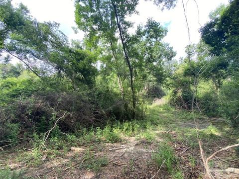 1877 Parker Rd, Cantonment, FL 32533 photo 10