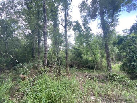 1877 Parker Rd, Cantonment, FL 32533 photo 7