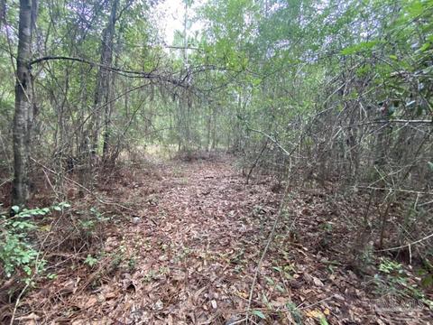1877 Parker Rd, Cantonment, FL 32533 photo 29