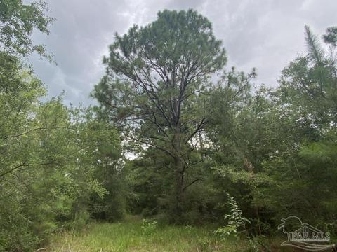 1877 Parker Rd, Cantonment, FL 32533 photo 40
