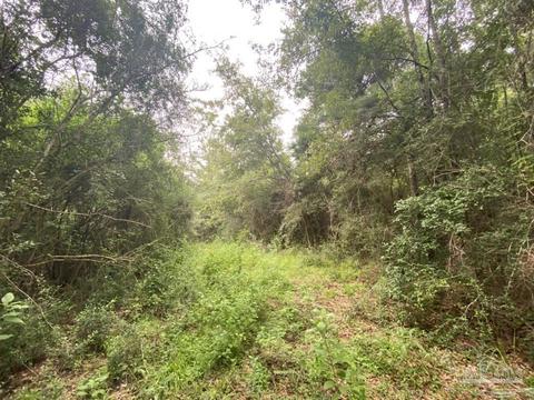 1877 Parker Rd, Cantonment, FL 32533 photo 37