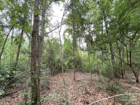 1877 Parker Rd, Cantonment, FL 32533 photo 6